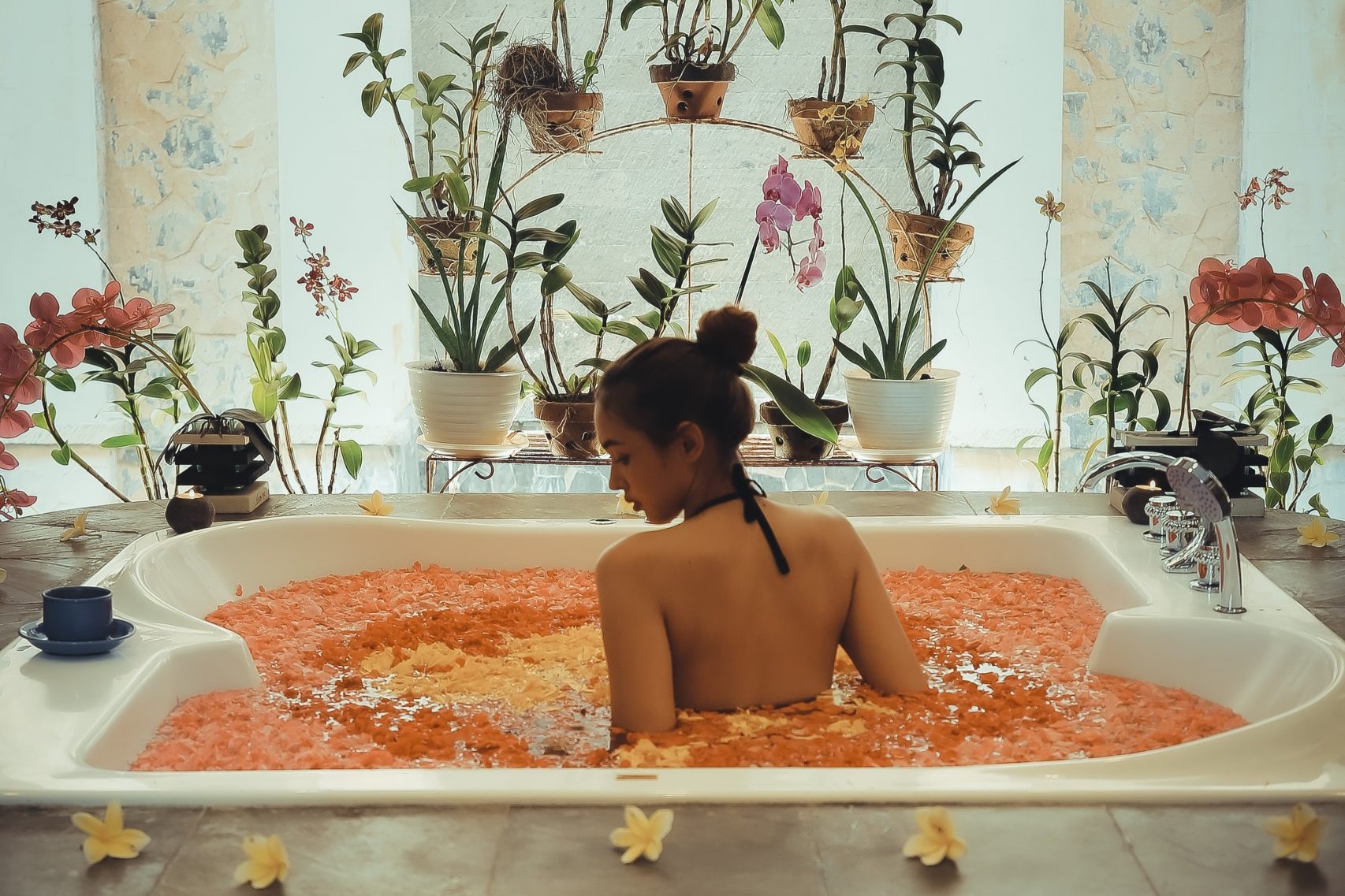 Pelangi Experience A Complete Culinary and Wellness Journey